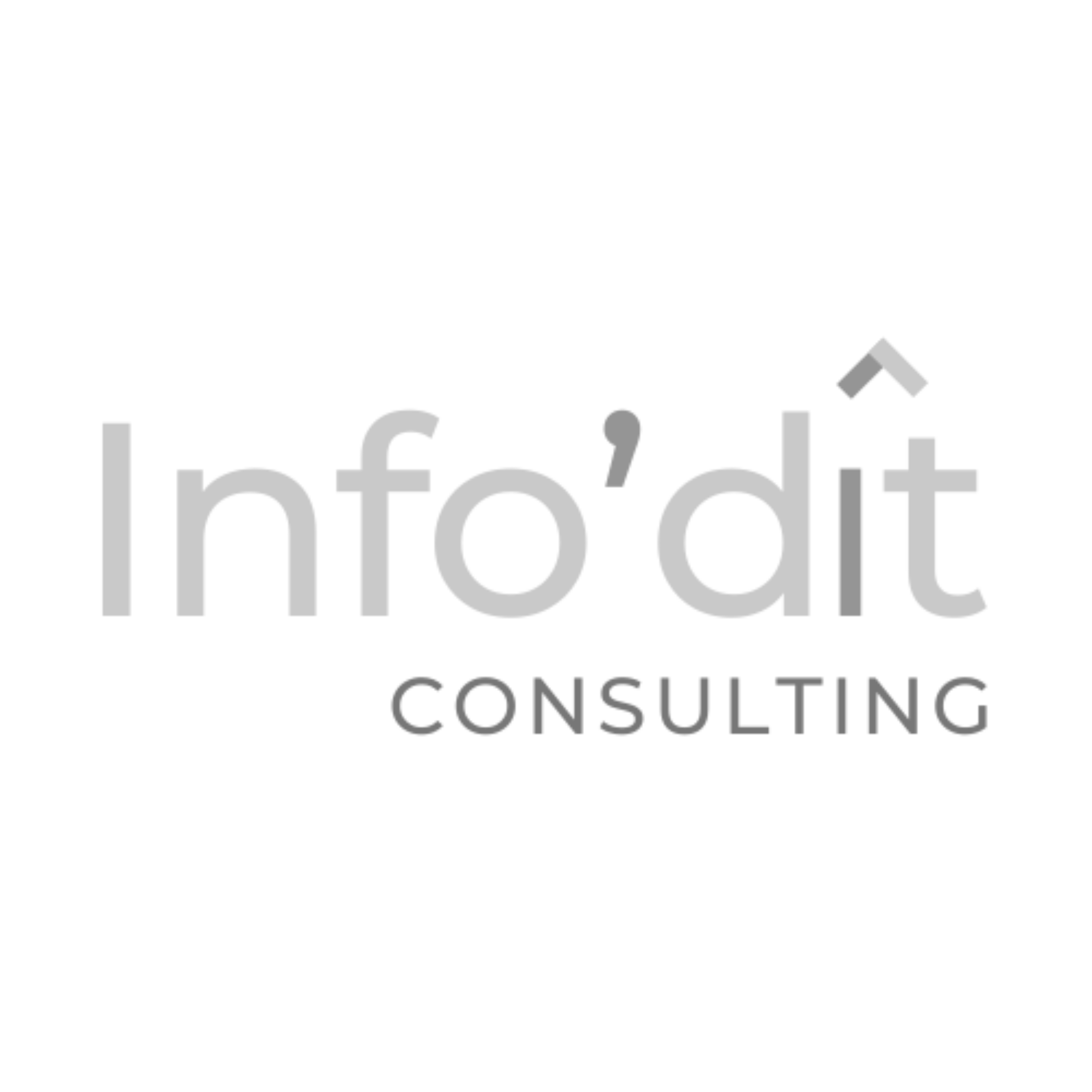 Infodit Consulting