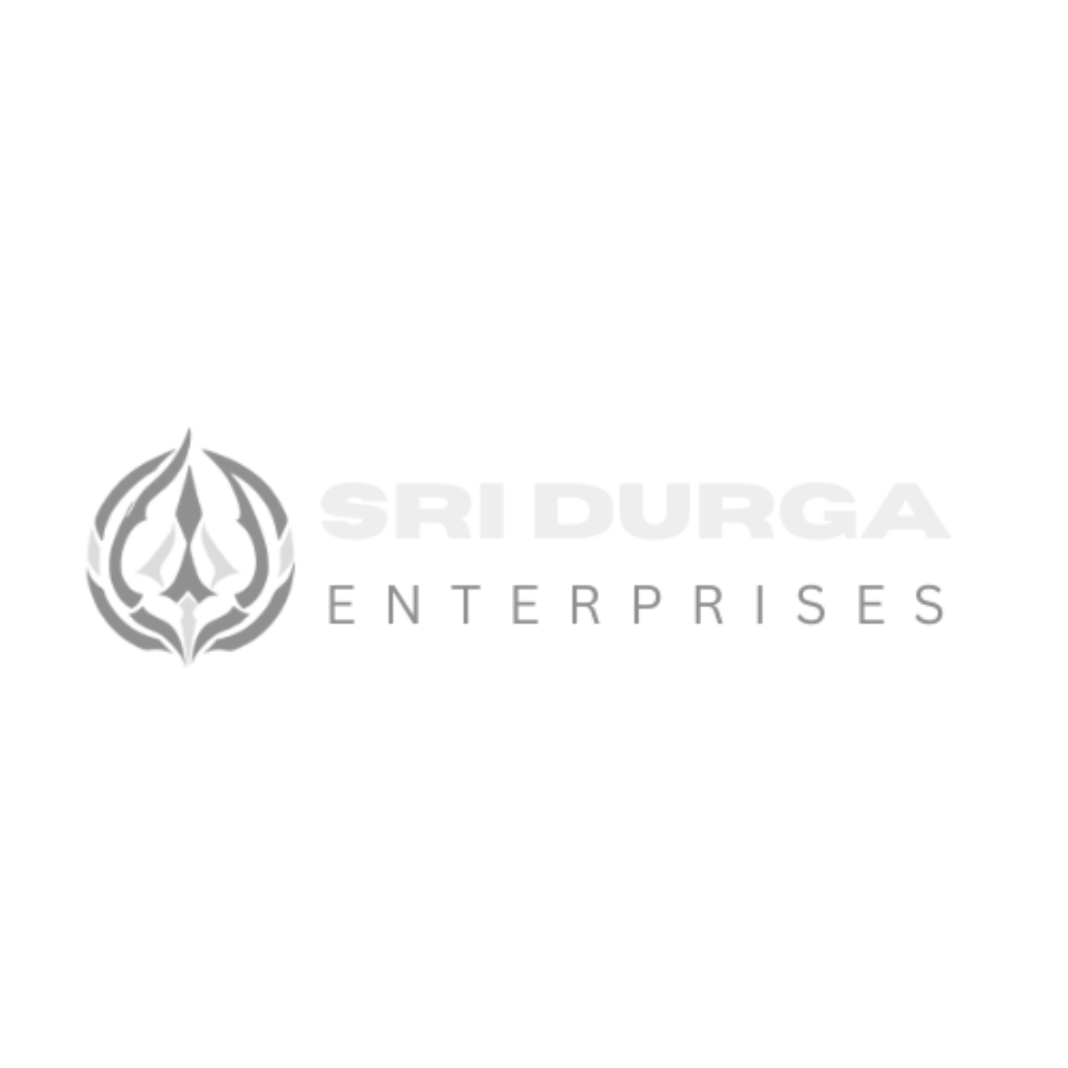 Sri Durga Enterprises